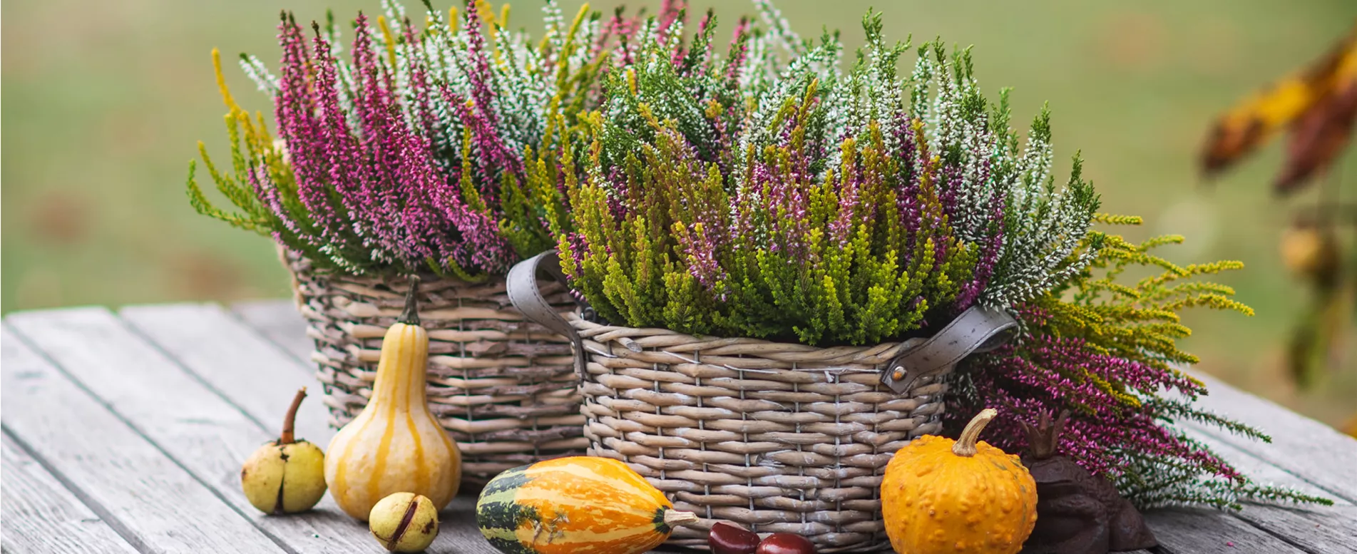 Sonntagsöffnung Herbst