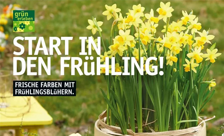 Beilage Frühling Beilage Frühling