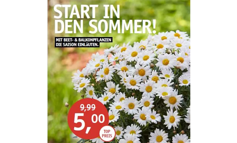 Containerfoto.JPG Containerfoto.JPG