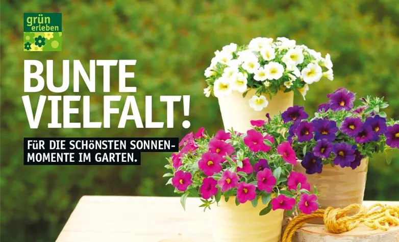 Beilage Beet & Balkon2 2026 Beilage Beet & Balkon2 2026